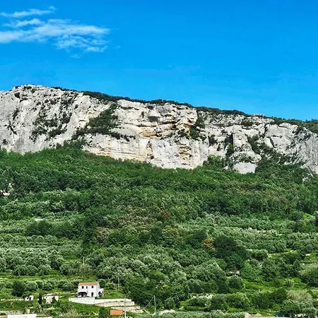 Vista Mare Апартаменты *